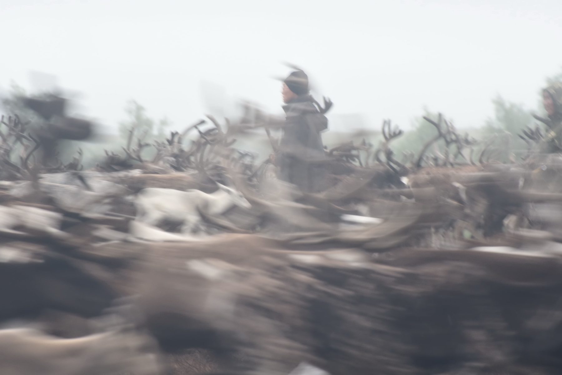 Выставка «Неизвестная Колыма» в Воронцовском парке – события на сайте «Московские Сезоны»