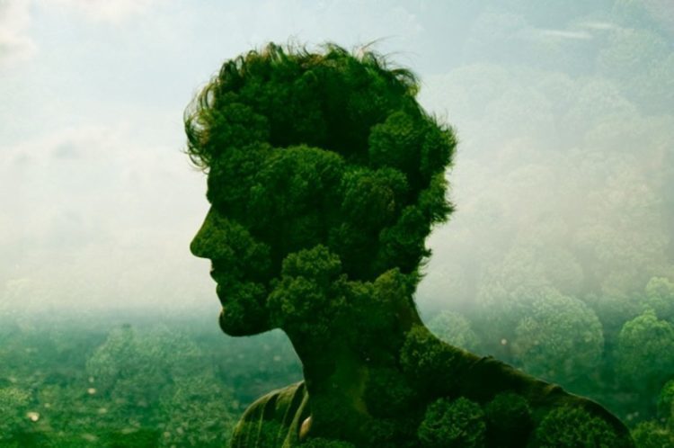 Встреча «Экоклуб» в КЦ «Вдохновение» – события на сайте «Московские Сезоны»