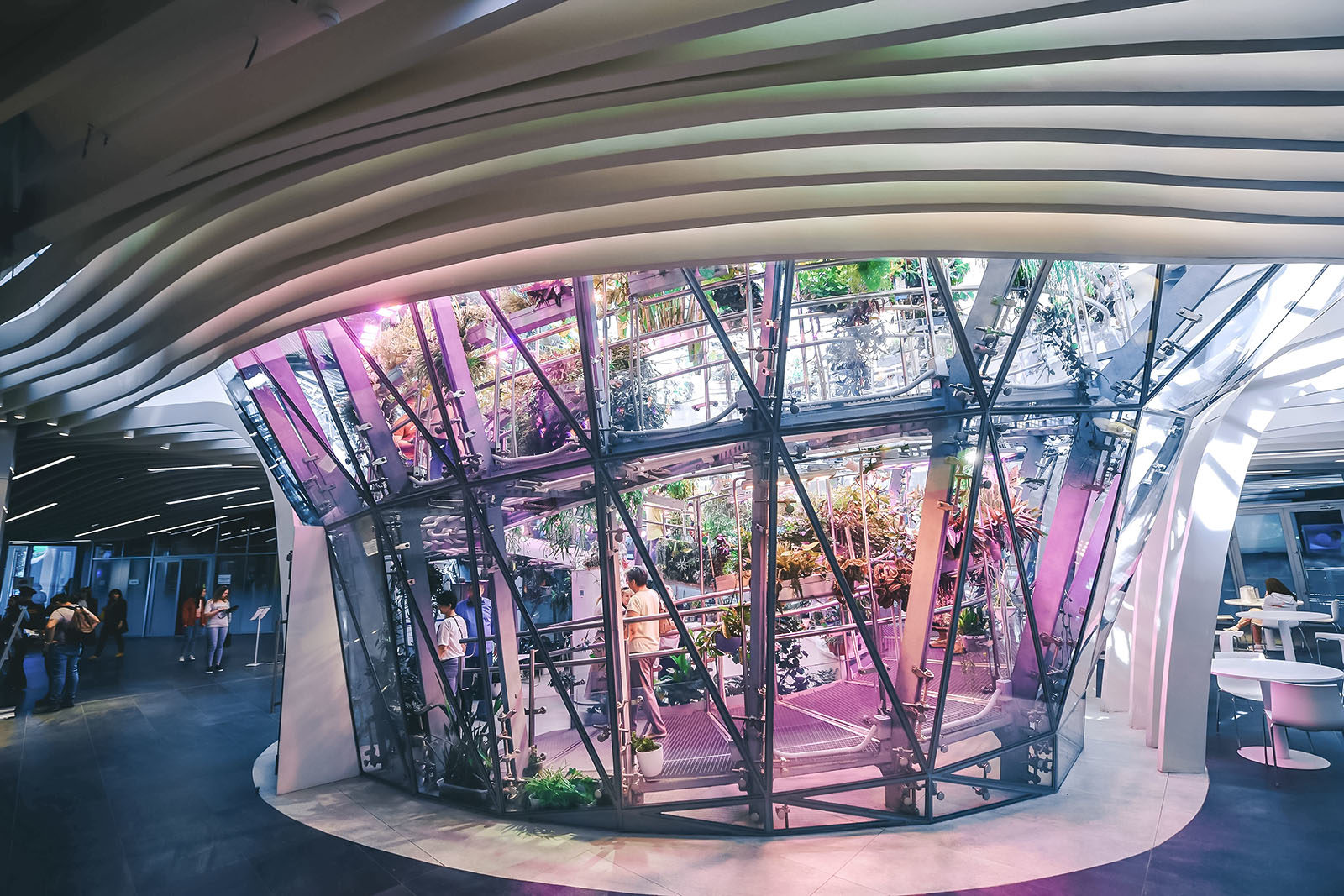 Лекция «Зверские технологии: учимся у животных» в парке «Зарядье» – события на сайте «Московские Сезоны»