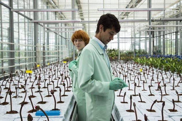 Показ фильма «Малыш Джо» в Музее кино – события на сайте «Московские Сезоны»