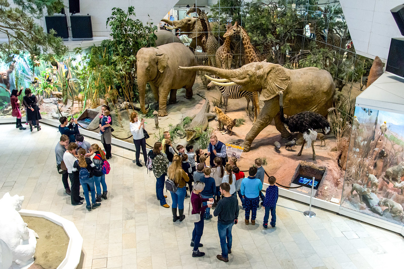Выставка «Великие открытия и великие ошибки Жоржа Кювье» в Дарвиновском музее – события на сайте «Московские Сезоны»