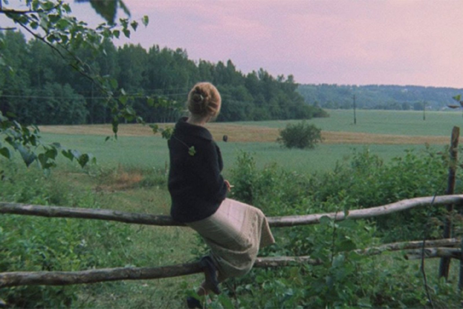 Лекция о творчестве Андрея Тарковского в Московском музее современного искусства – события на сайте «Московские Сезоны»