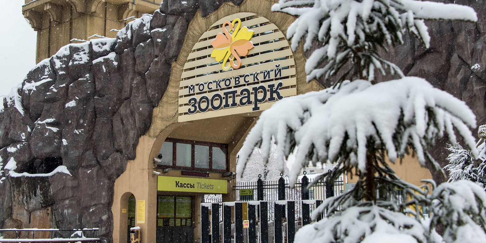 Лекция «Лосиный Остров — знакомый и незнакомый» в Московском зоопарке – события на сайте «Московские Сезоны»