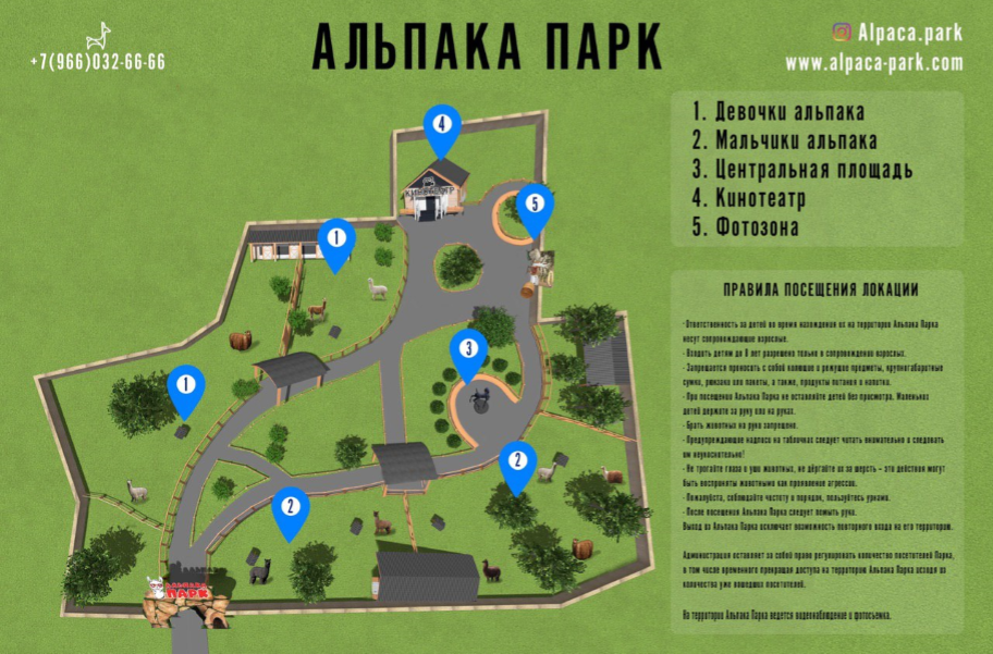 Открытие «Альпака Парка» в семейном парке «Сказка» – события на сайте «Московские Сезоны»