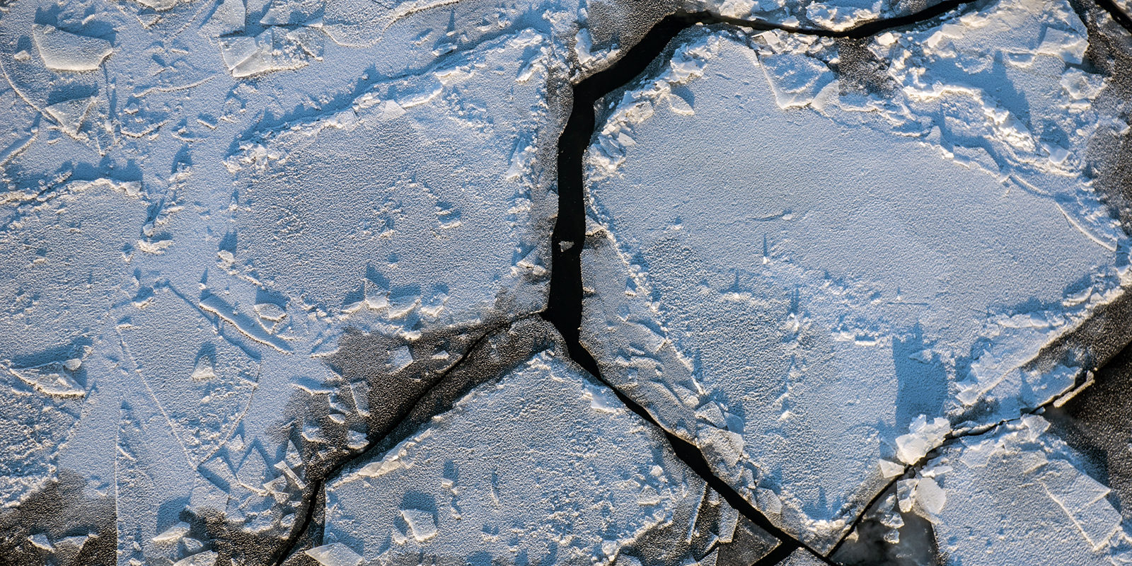 Фотовыставка «Моржи Воронцовского парка» – события на сайте «Московские Сезоны»