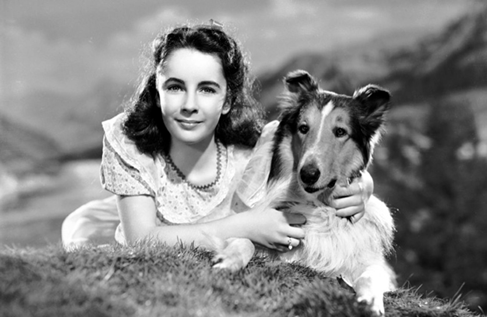 Лекция «Лесси возвращается домой» в Доме Гоголя – события на сайте «Московские Сезоны»