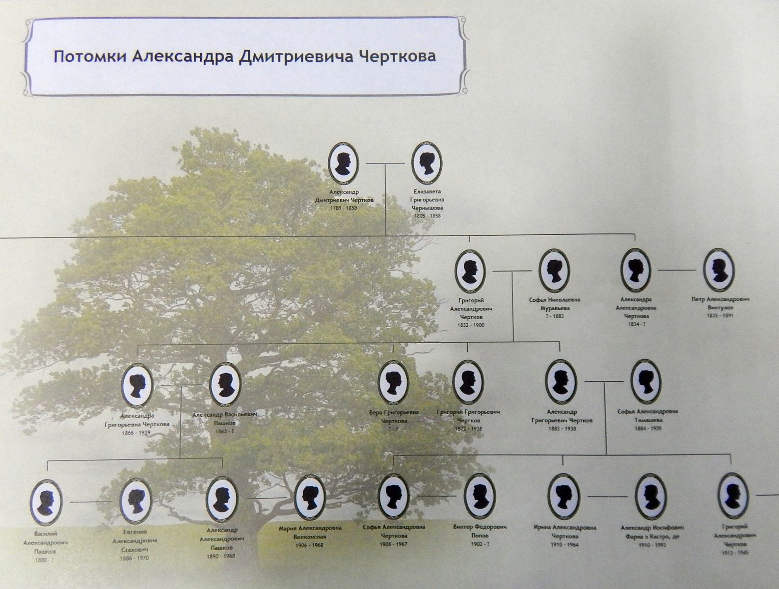 Выставка «Род Чертковых по генеалогическим источникам» – события на сайте «Московские Сезоны»