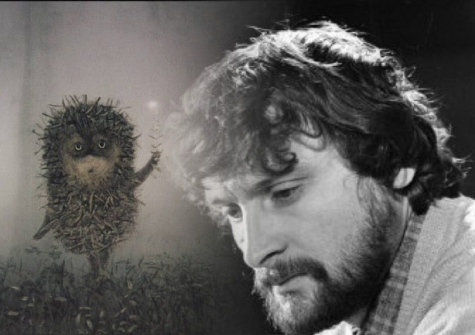 Праздничная программа «Рождественская история» в Биологическом музее – события на сайте «Московские Сезоны»