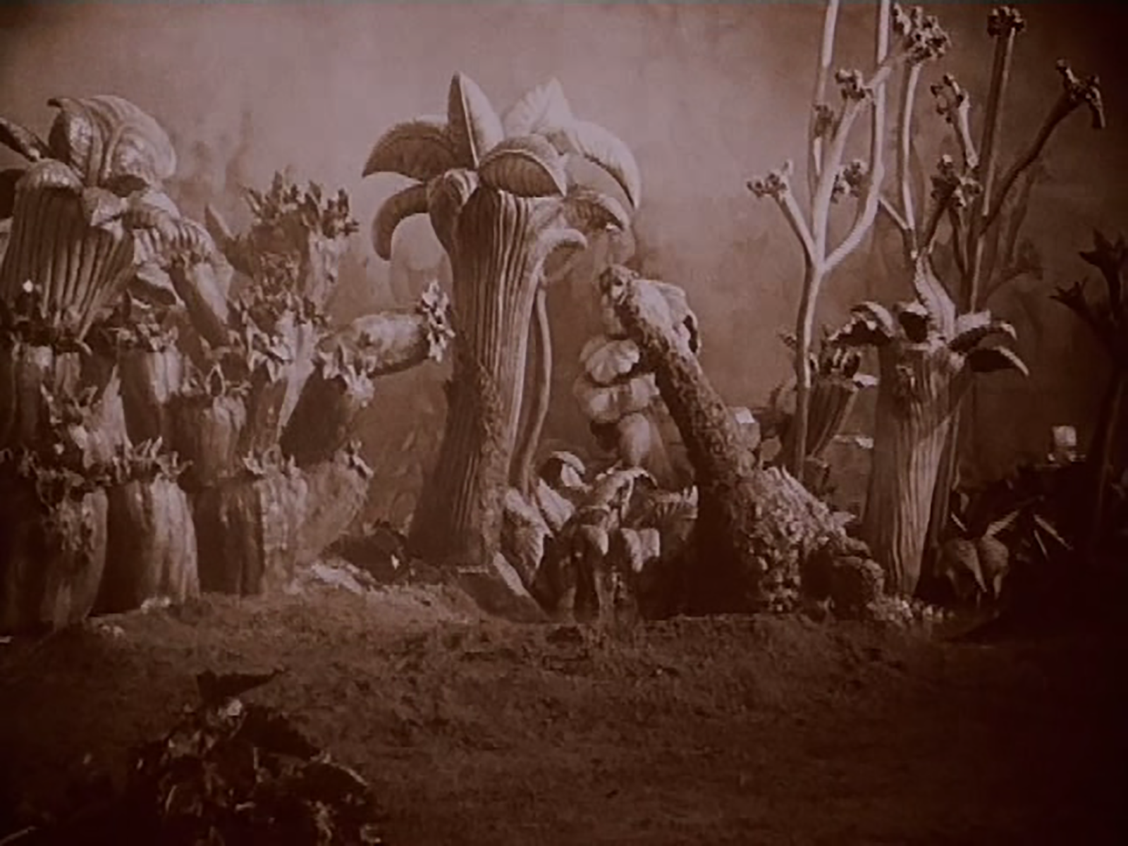 Новогодний кинофестиваль забытой научной фантастики в галерее «На Шаболовке» – события на сайте «Московские Сезоны»