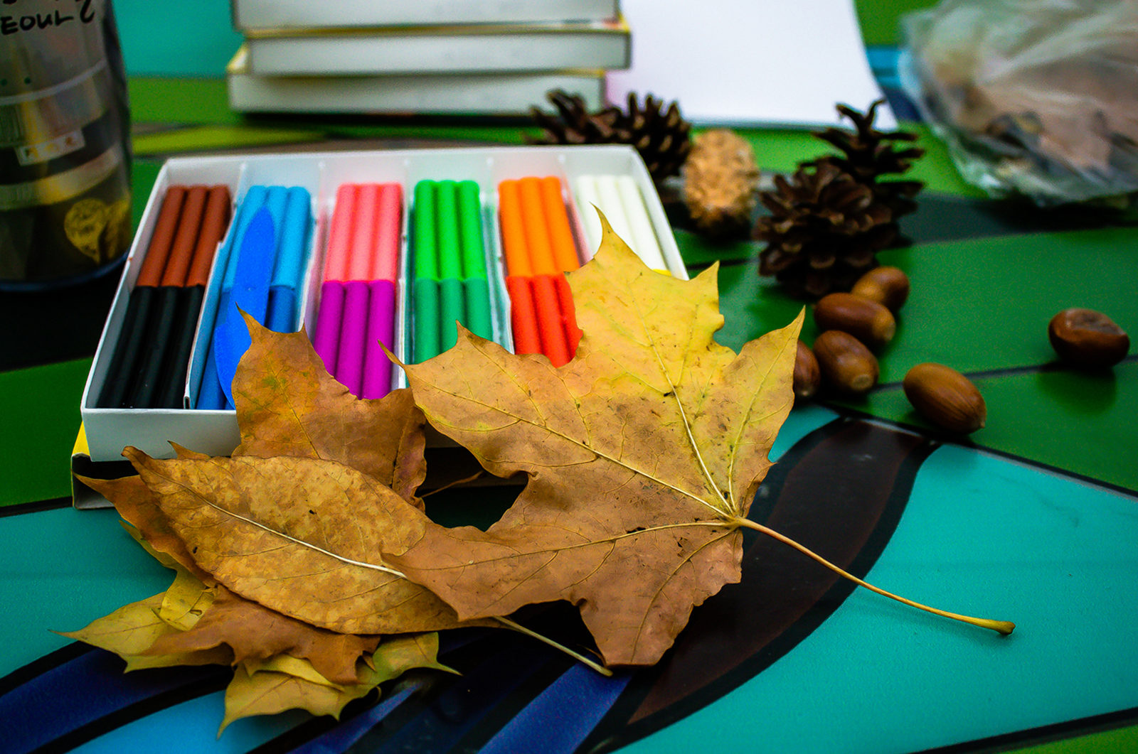 Инклюзивный фестиваль мастер-классов в Воронцовском парке – события на сайте «Московские Сезоны»
