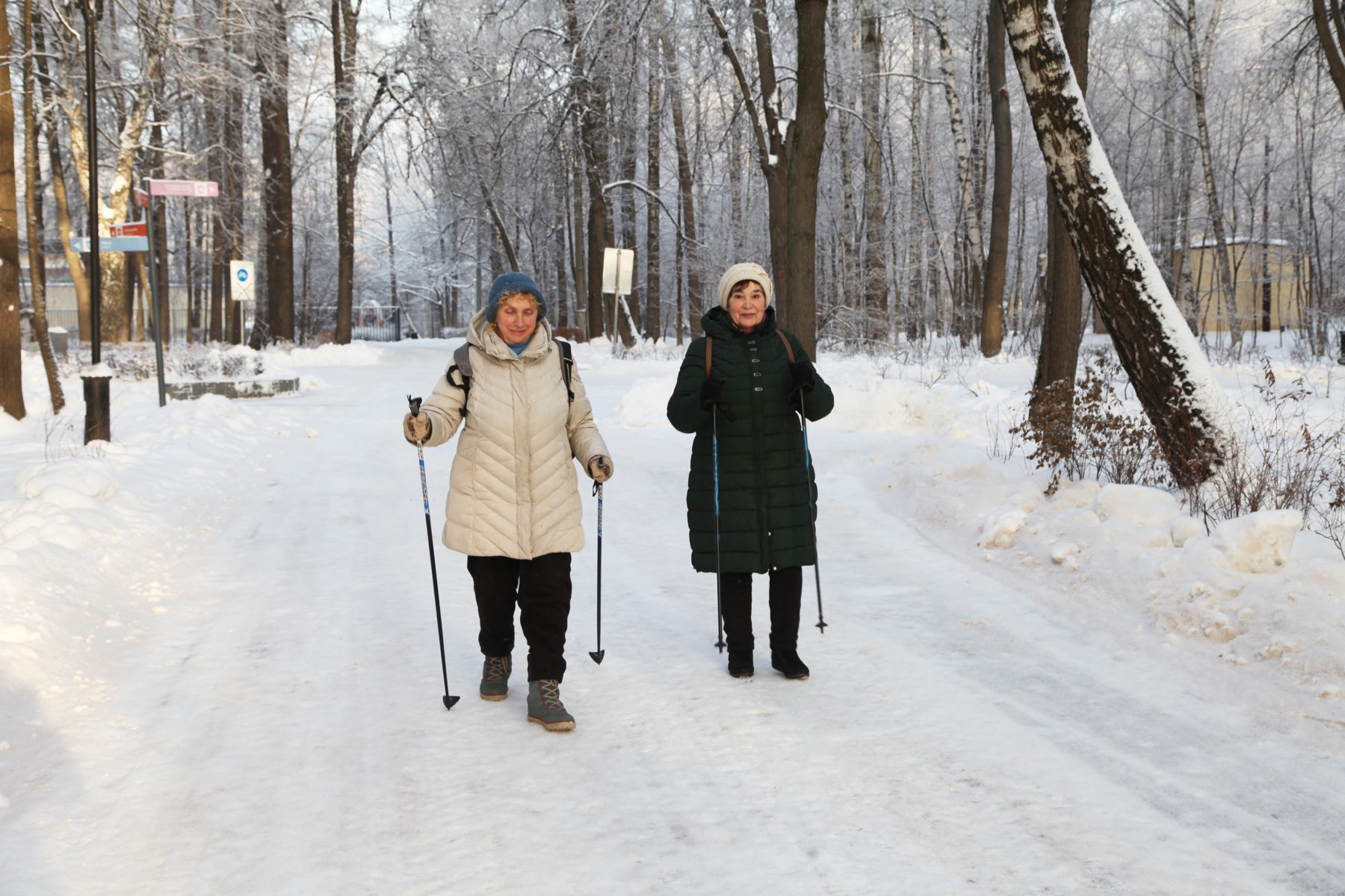 Соревнования по скандинавской ходьбе в Измайловском парке – события на сайте «Московские Сезоны»