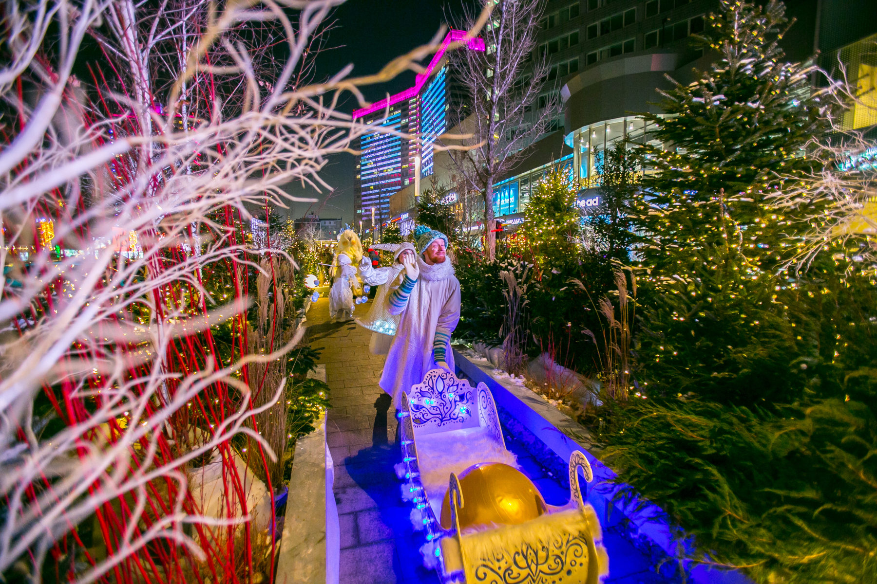 Зимние ёлки на Новом Арбате – события на сайте «Московские Сезоны»