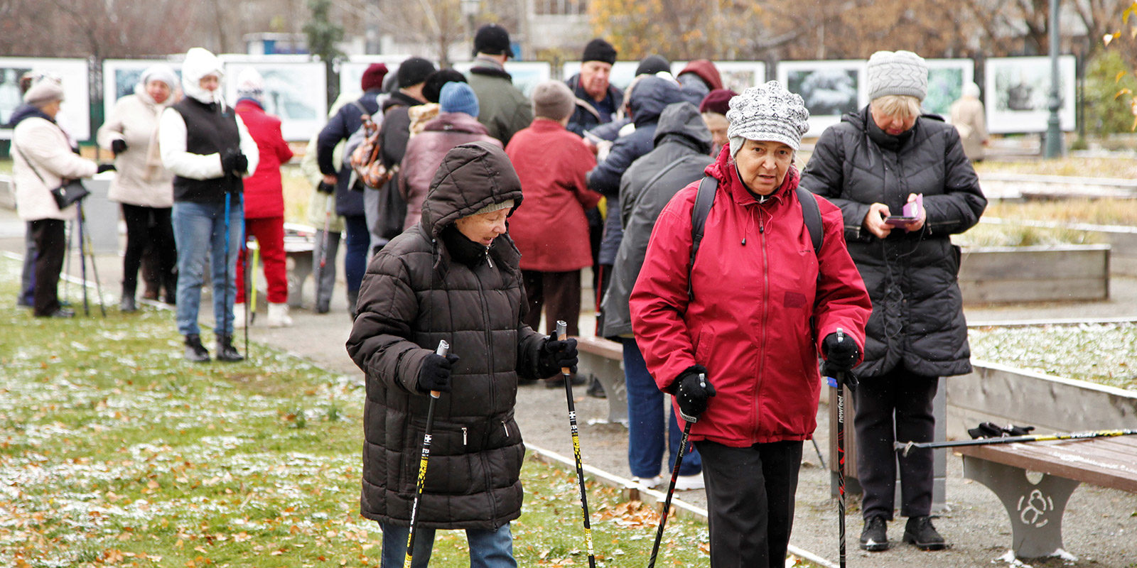 Спортивный праздник «Московское долголетие» в Измайловском парке – события на сайте «Московские Сезоны»