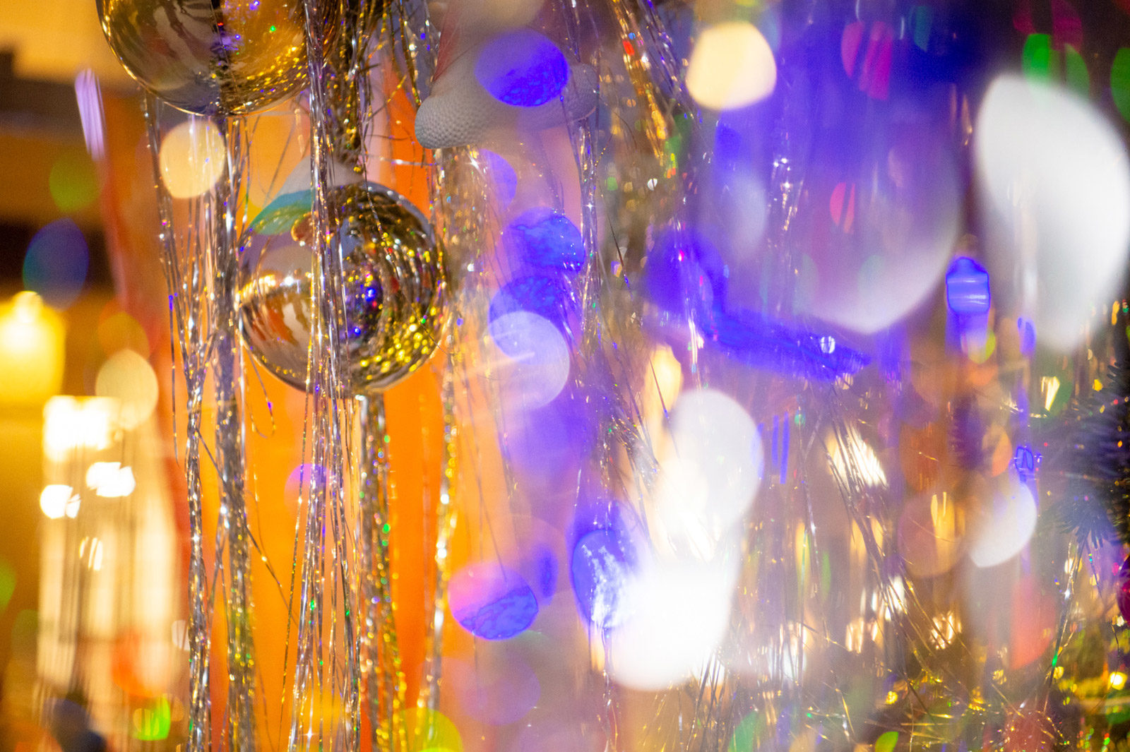 «Встреча Деда Мороза» в парке «Северное Тушино» – события на сайте «Московские Сезоны»