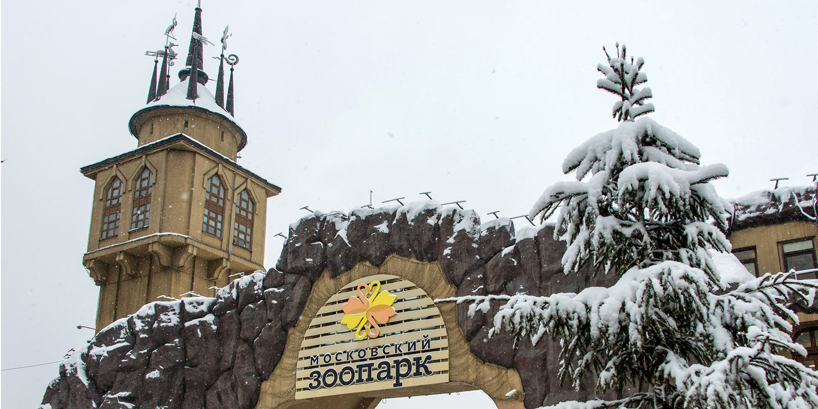 Лекция «Тайны Марианской впадины» в Московском зоопарке – события на сайте «Московские Сезоны»