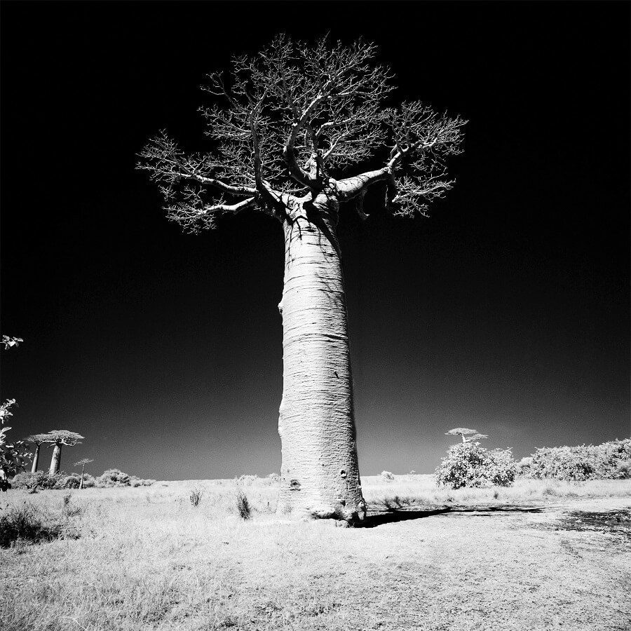 Выставка «Арсен Ревазов. Невидимый свет» в Новой Третьяковке – события на сайте «Московские Сезоны»