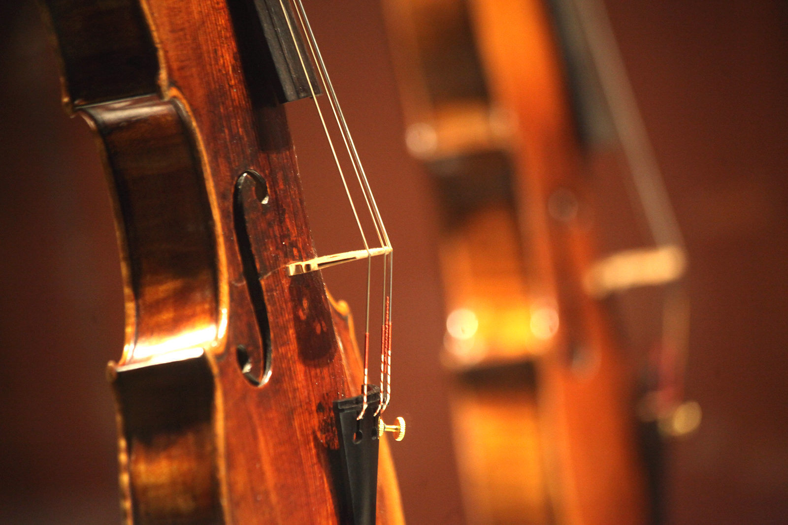 Концерт «Чайковский — Брамс» в Москонцерте на Пушечной – события на сайте «Московские Сезоны»