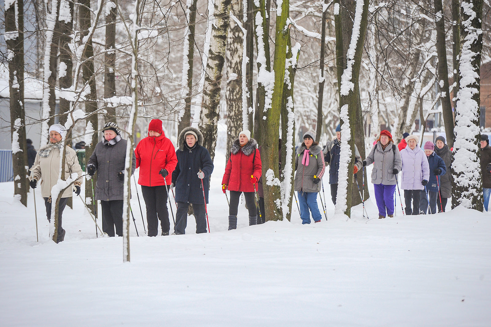 Праздник спорта «Зимний скандинав» в парке «Сокольники» – события на сайте «Московские Сезоны»