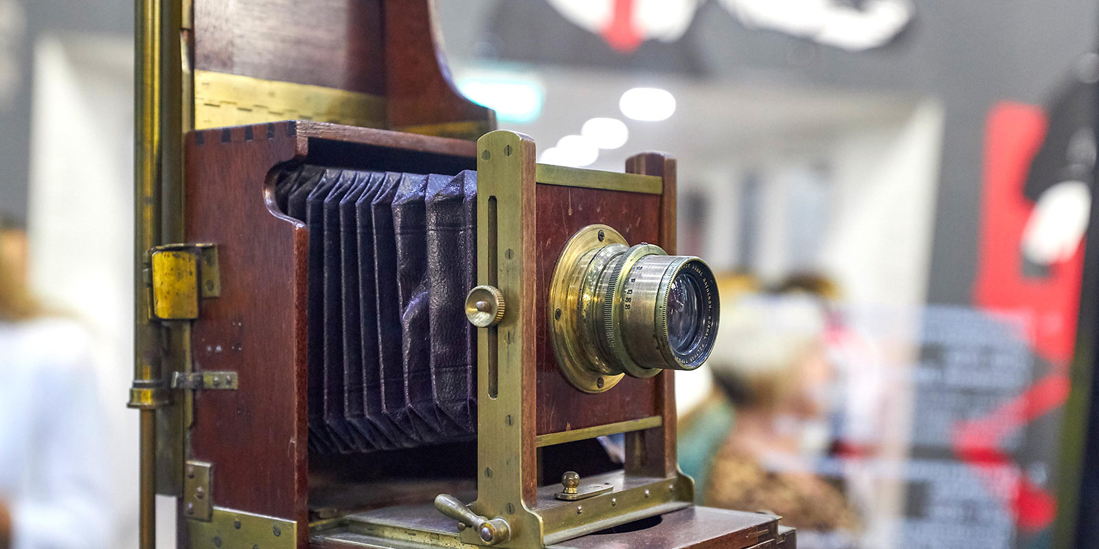 Фотошкола в Измайловском парке – события на сайте «Московские Сезоны»