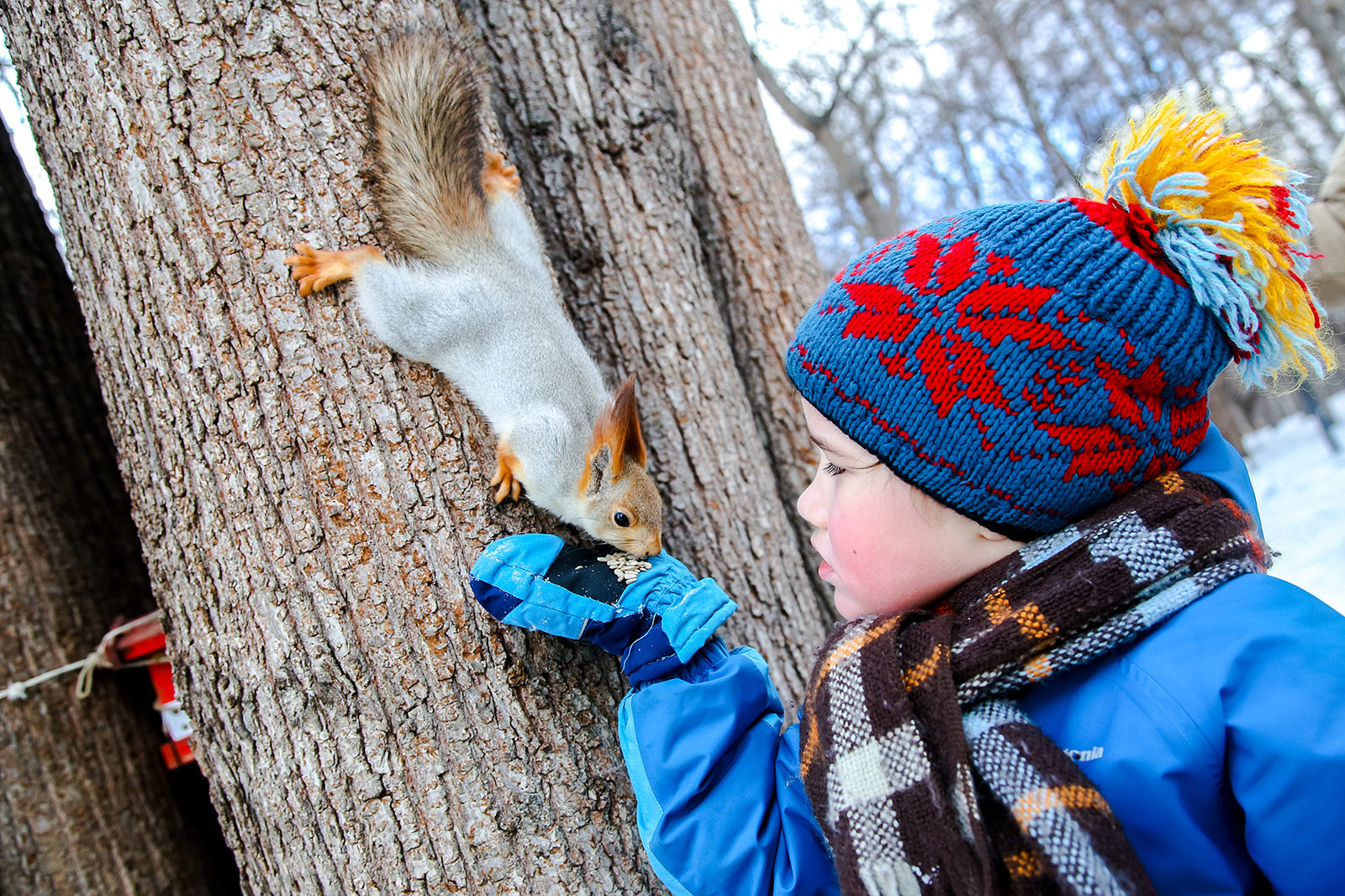 Кружок «Юный натуралист» в Измайловском парке – события на сайте «Московские Сезоны»