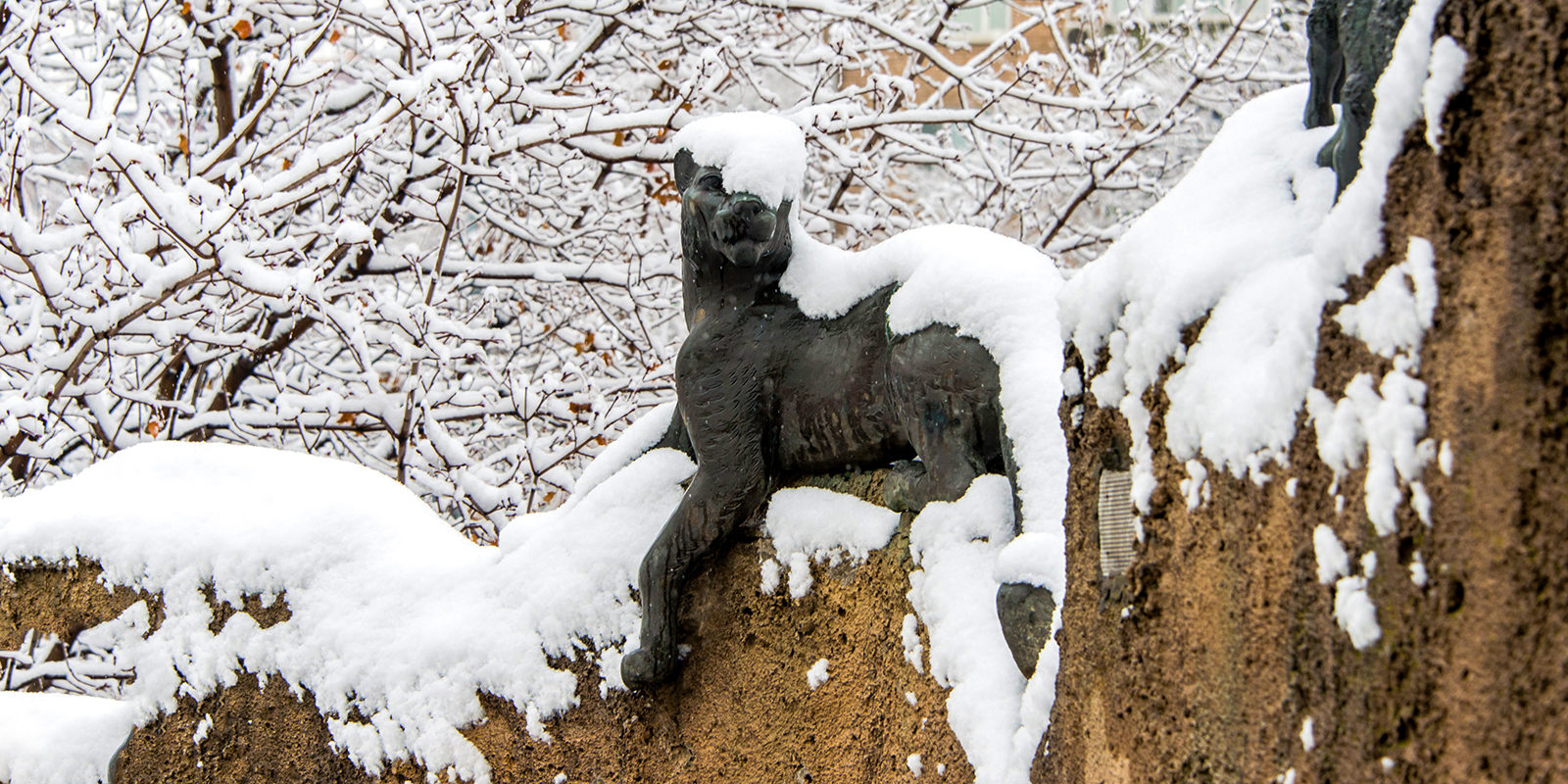 Лекция «Трубопровод внутри тела» в Московском зоопарке – события на сайте «Московские Сезоны»