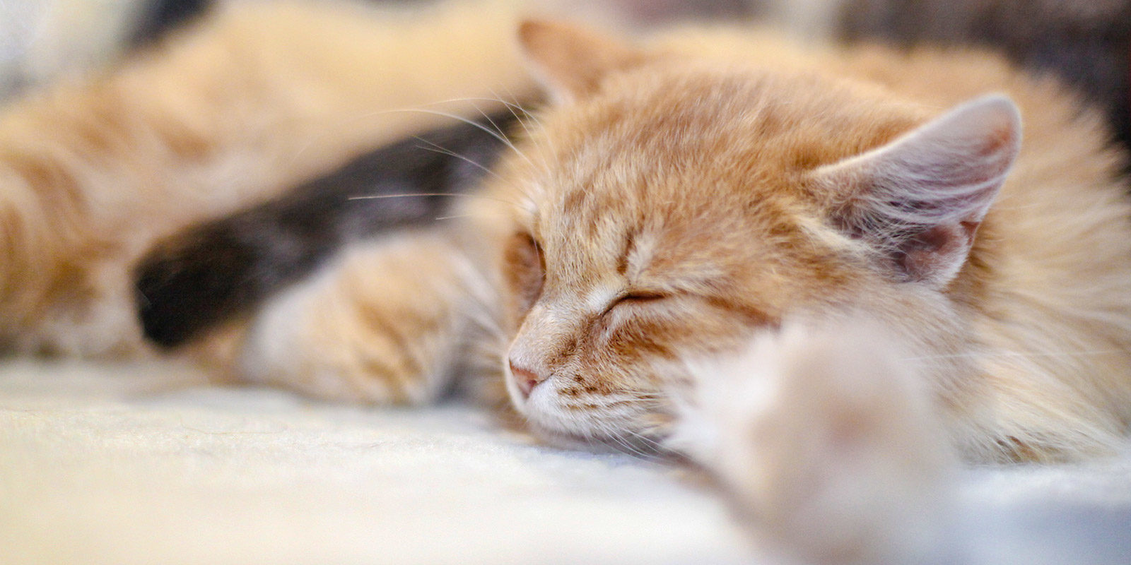 Акция «Подарок для друга» в библиотеке № 152 – события на сайте «Московские Сезоны»