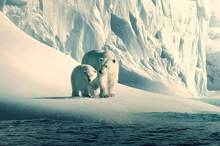 Кинопоказ «Our planet. Замерзшие миры» – события на сайте «Московские Сезоны»