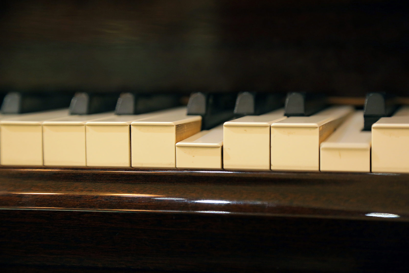 Концерт «Грезы. Роберт Шуман» в Москонцерте на Пушечной – события на сайте «Московские Сезоны»