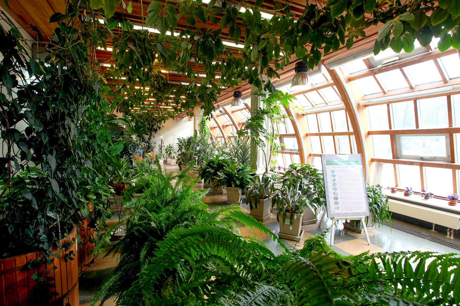 Программа «Цветочный карнавал, или Масленица в тропиках» в музее-заповеднике «Царицыно» – события на сайте «Московские Сезоны»