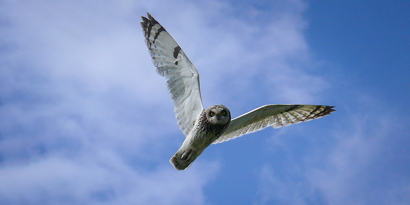 Виртуальный тур «Путешествуй вместе с нами» в библиотеке № 262 – события на сайте «Московские Сезоны»