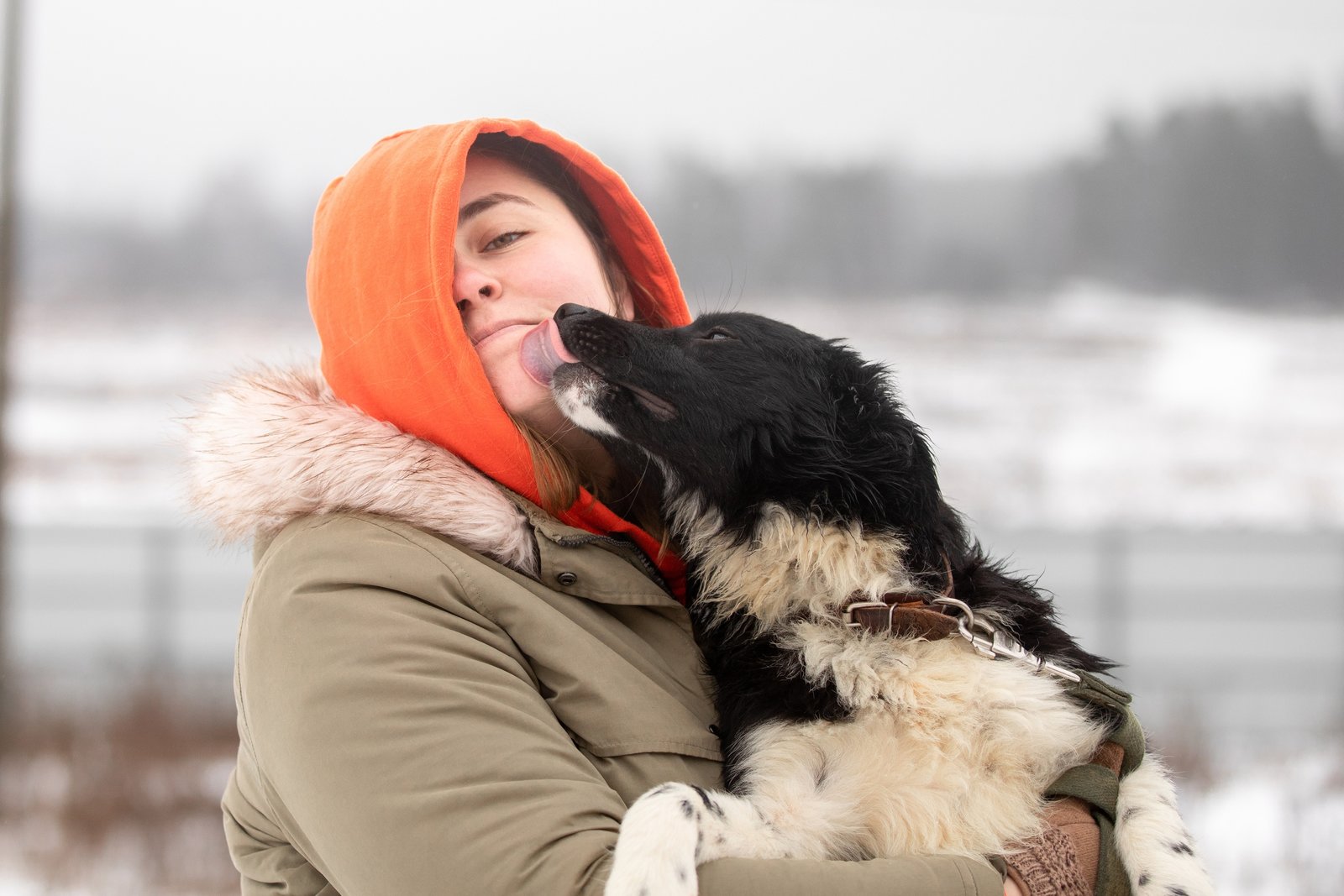 «Мы стали чаще говорить о том, что нам нужна помощь»: интервью с президентом благотворительного фонда помощи бездомным животным «Ника», Верой Митиной – события на сайте «Московские Сезоны»