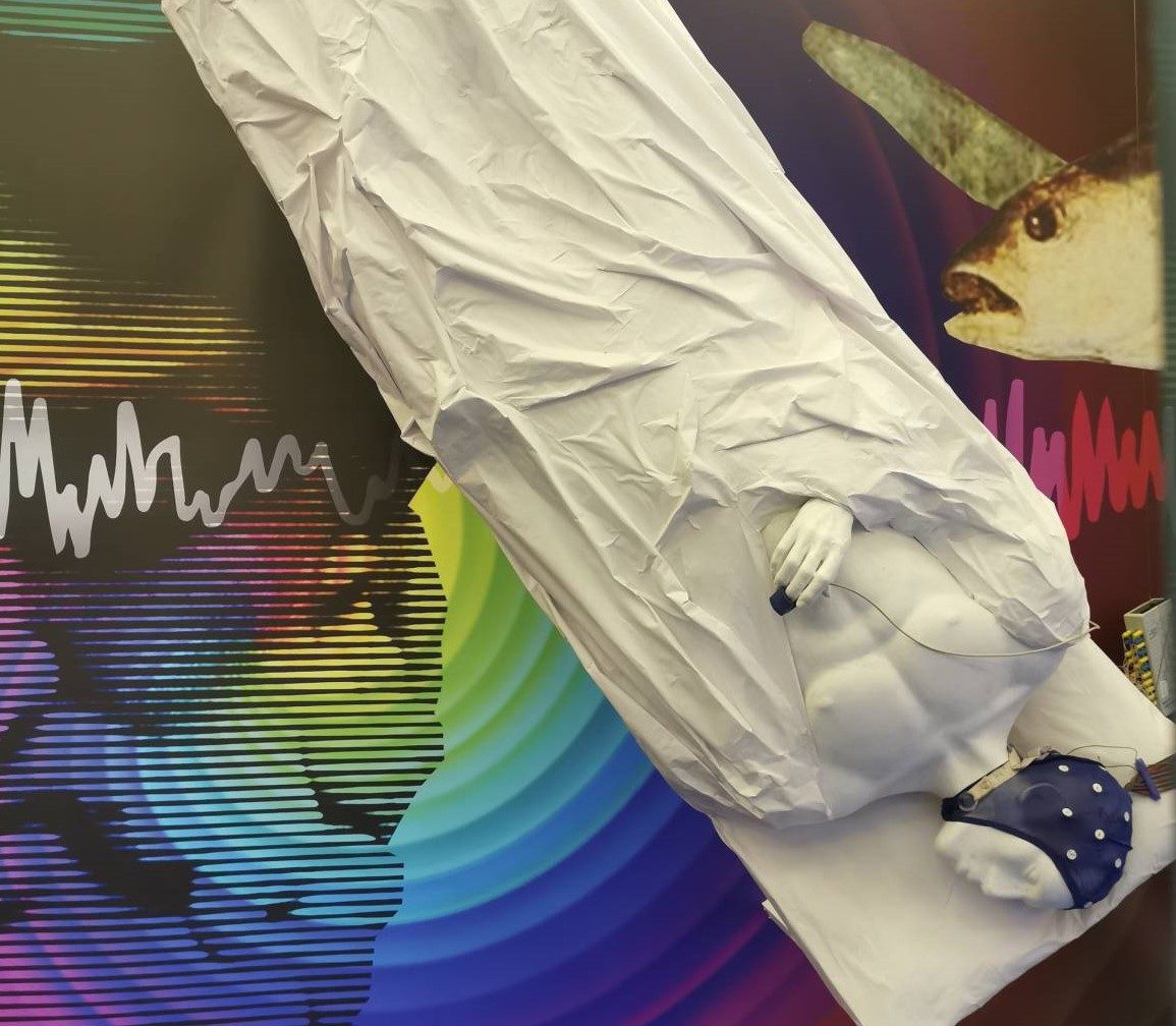 Викторина «В царстве Морфея» – события на сайте «Московские Сезоны»