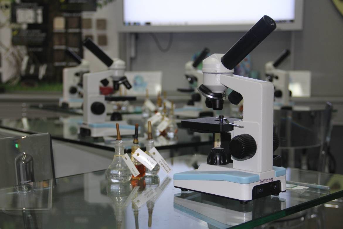 Онлайн-программа «Микромонстры: бактерии и вирусы» – события на сайте «Московские Сезоны»