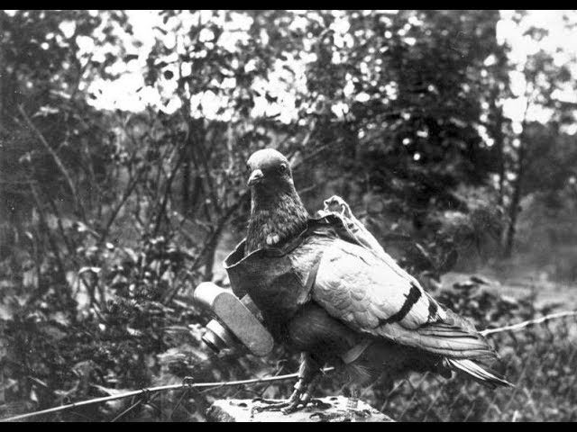Аудиоэкскурсия «Вестник Победы» – события на сайте «Московские Сезоны»