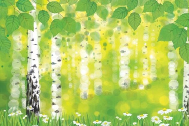 Онлайн-мастер-класс «Белоствольная красавица» – события на сайте «Московские Сезоны»