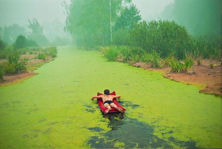 Онлайн дискуссия «Искусство как барометр» – события на сайте «Московские Сезоны»
