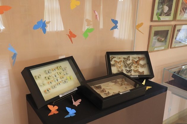 Виртуальная выставка «Бабочки пушкинского детства» – события на сайте «Московские Сезоны»