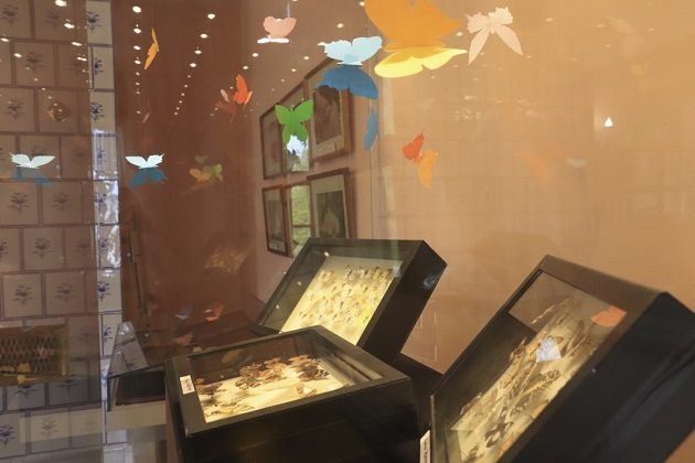 Виртуальная выставка «Бабочки пушкинского детства» – события на сайте «Московские Сезоны»
