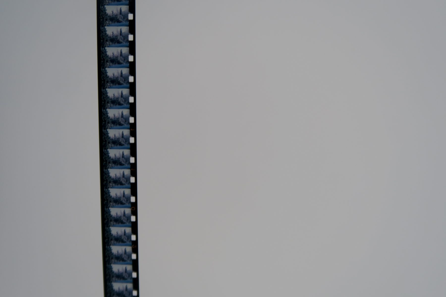 Онлайн-кинолекторий «Антарктическая повесть» – события на сайте «Московские Сезоны»