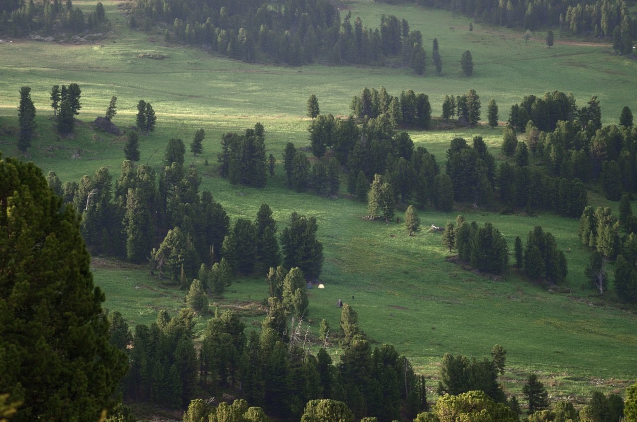 Онлайн-знакомство «Легендарная Карелия» – события на сайте «Московские Сезоны»