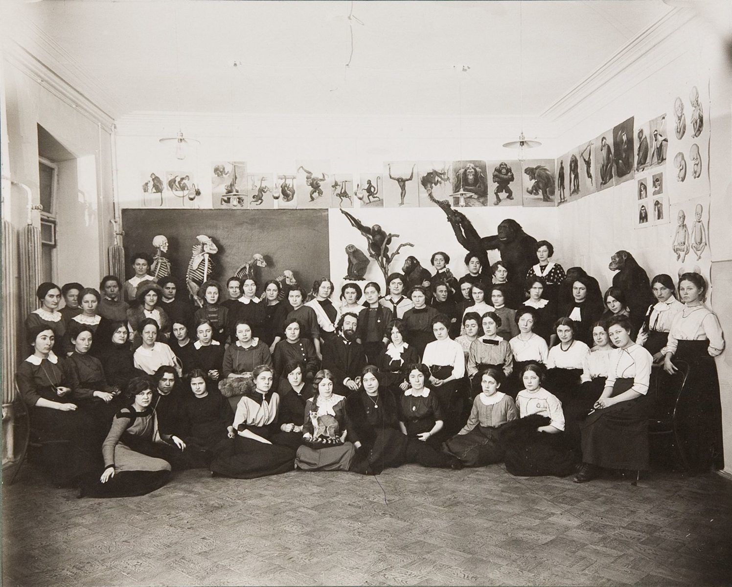 Выставка «Женитесь на курсистках» в Дарвиновском музее – события на сайте «Московские Сезоны»