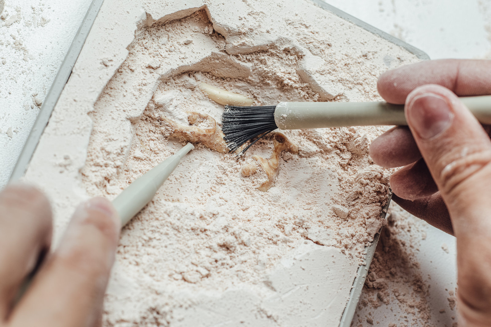 Археологические раскопки в парке «Печатники» – события на сайте «Московские Сезоны»