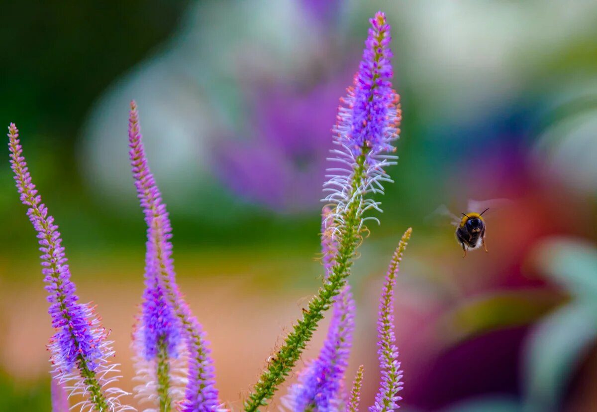 Летний садик и лекции от музея «Огни Москвы» на Митинской улице – события на сайте «Московские Сезоны»