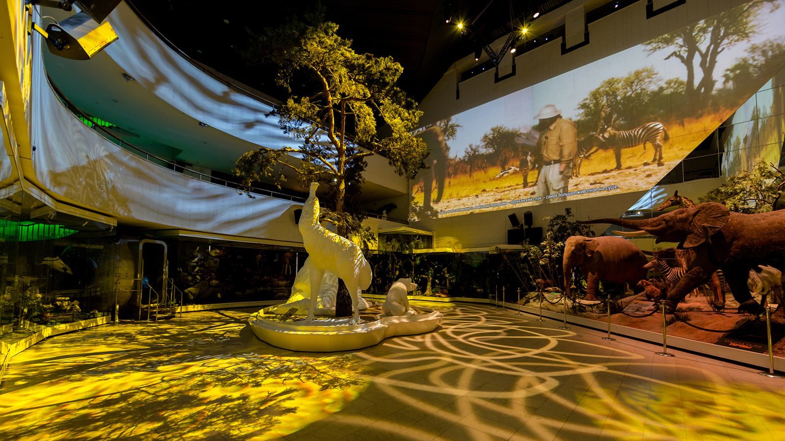 Онлайн-программа Дарвиновского музея ко Дню города – события на сайте «Московские Сезоны»