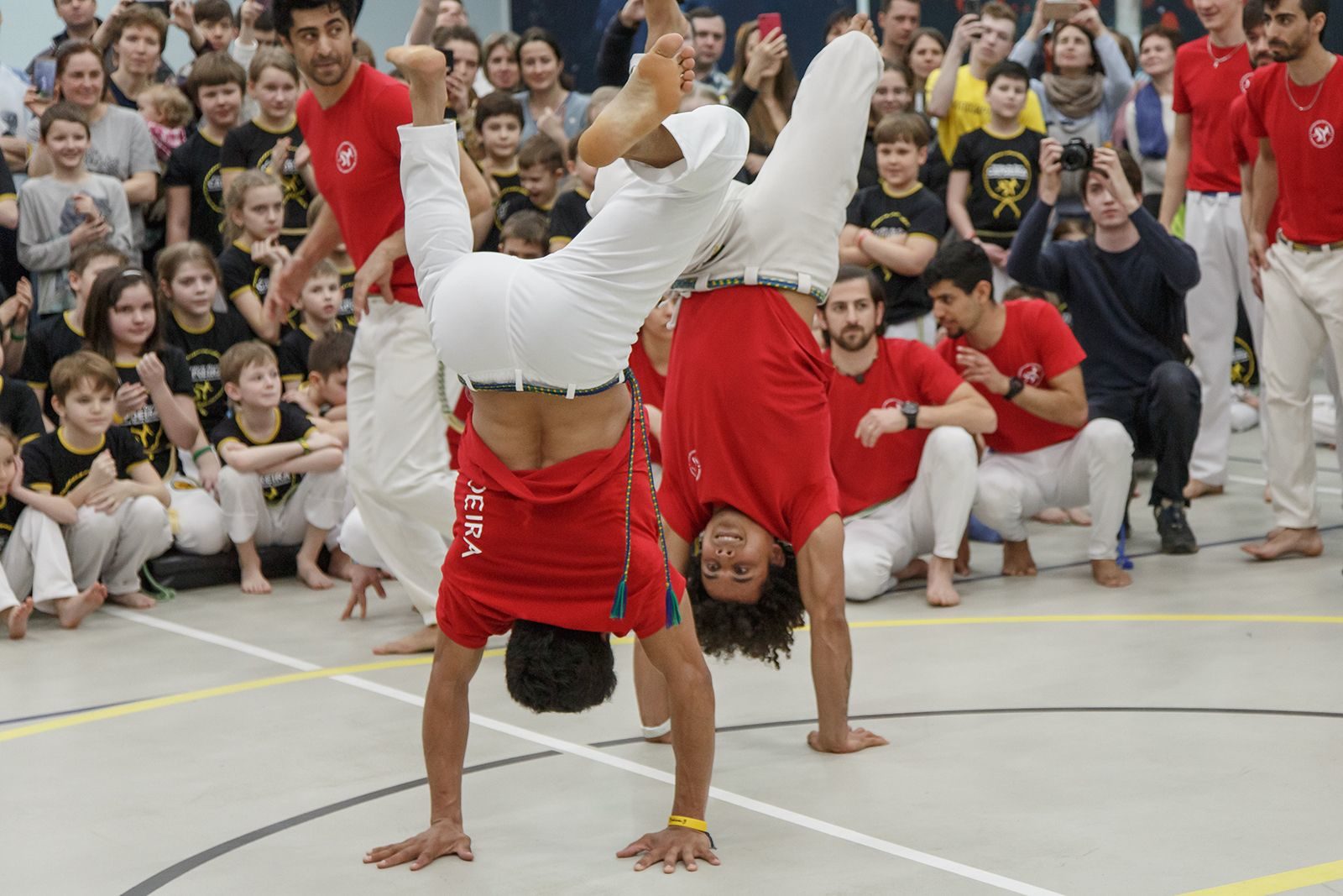 Занятия капоэйрой в саду имени Н.Э. Баумана – события на сайте «Московские Сезоны»