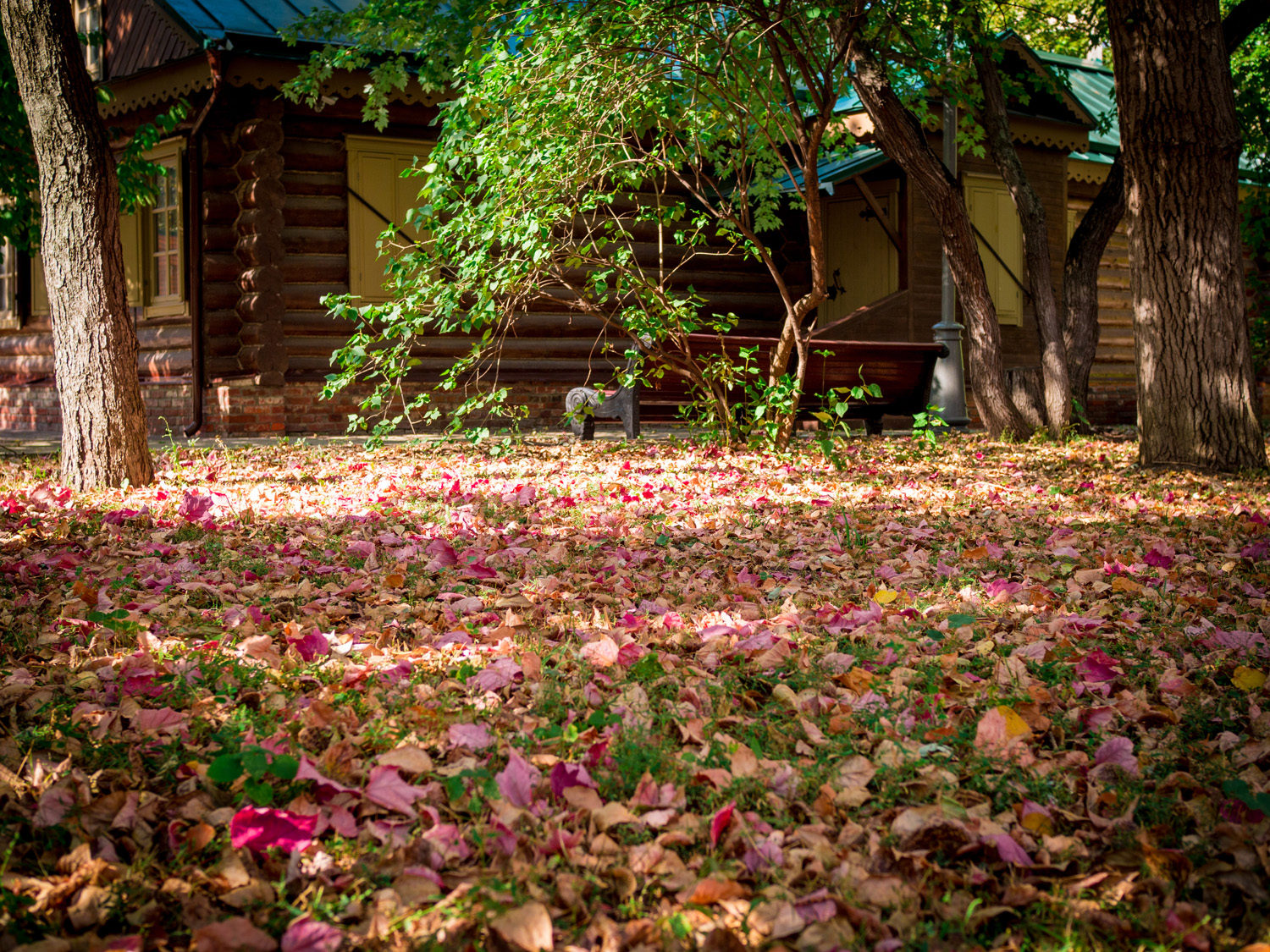 Музейный праздник «День Кутузовской избы» – события на сайте «Московские Сезоны»