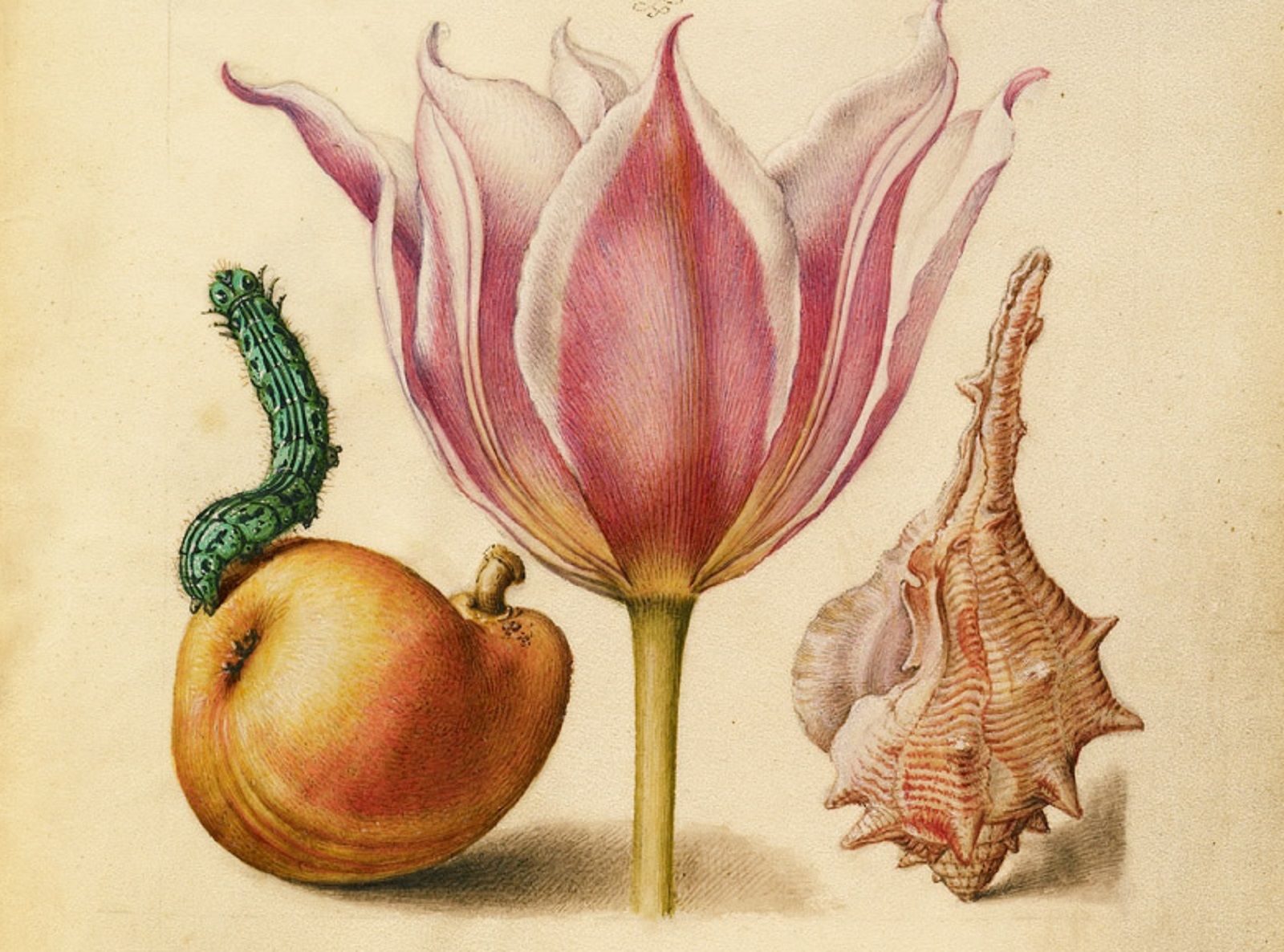 «Впечатление» в Мемориальном музее А.Н. Скрябина – события на сайте «Московские Сезоны»