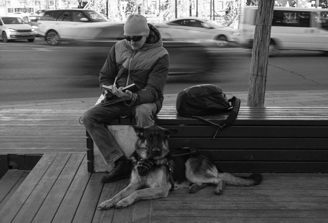 Открытие фотовыставки «А я иду. А он – со мной» в Библиотеке № 48 – события на сайте «Московские Сезоны»