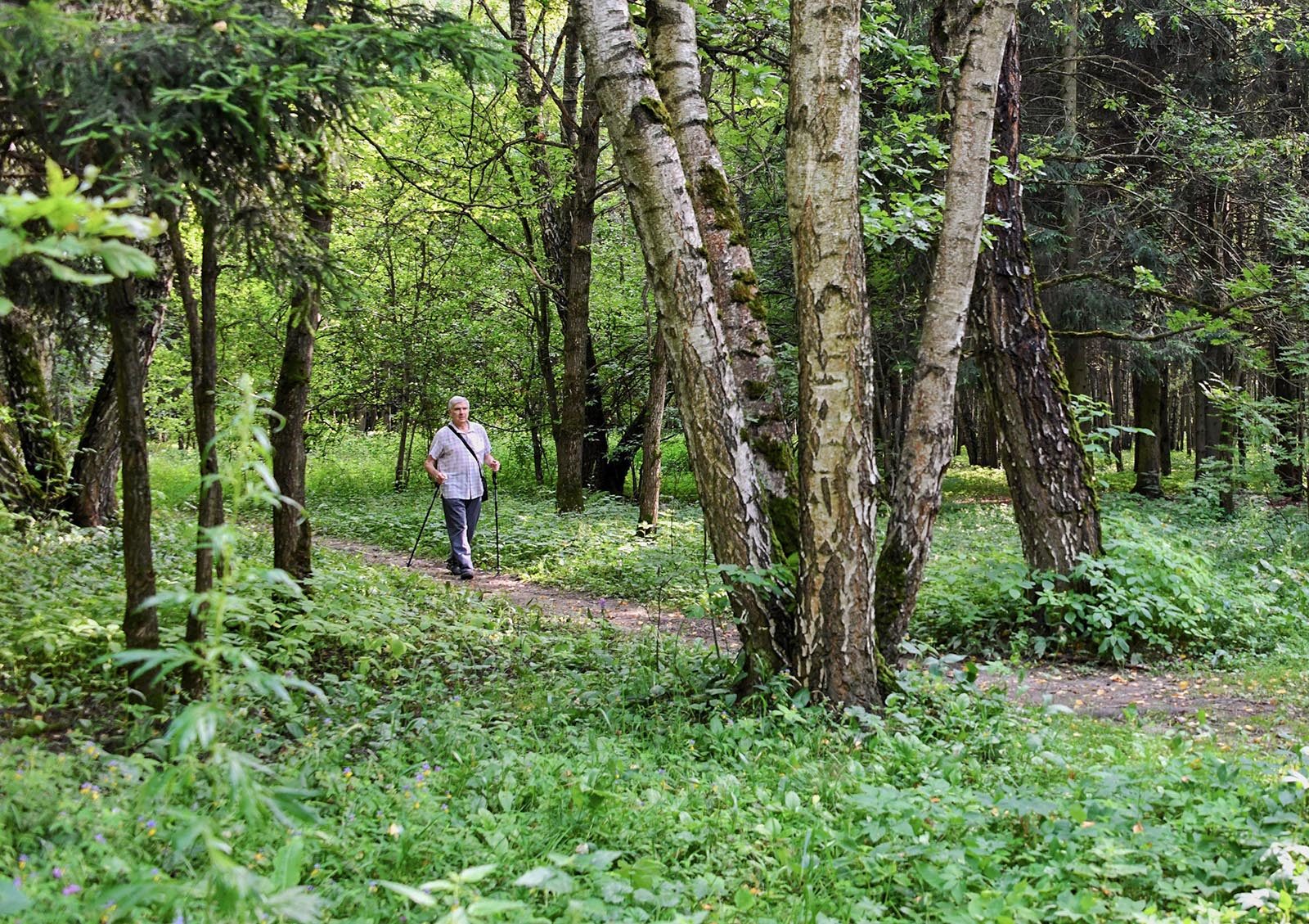 «Дары осени» в Воронцовском парке – события на сайте «Московские Сезоны»