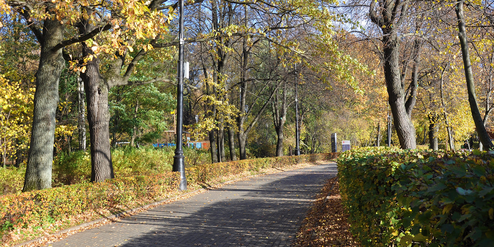 «Монеты славы» в Измайловском парке – события на сайте «Московские Сезоны»
